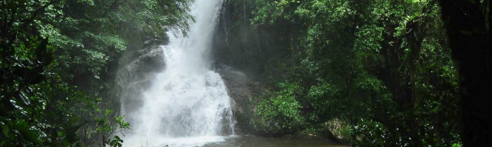O Salto do Saci, em meio à Mata Atlântica na região de Antonina, litoral do Paraná